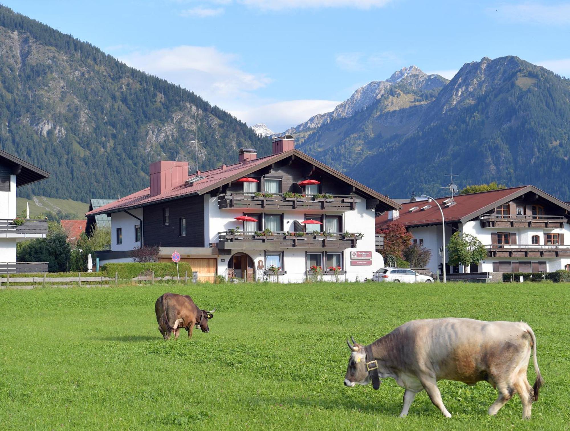Best Western Plus Hotel Alpenhof Oberstdorf Exteriér fotografie