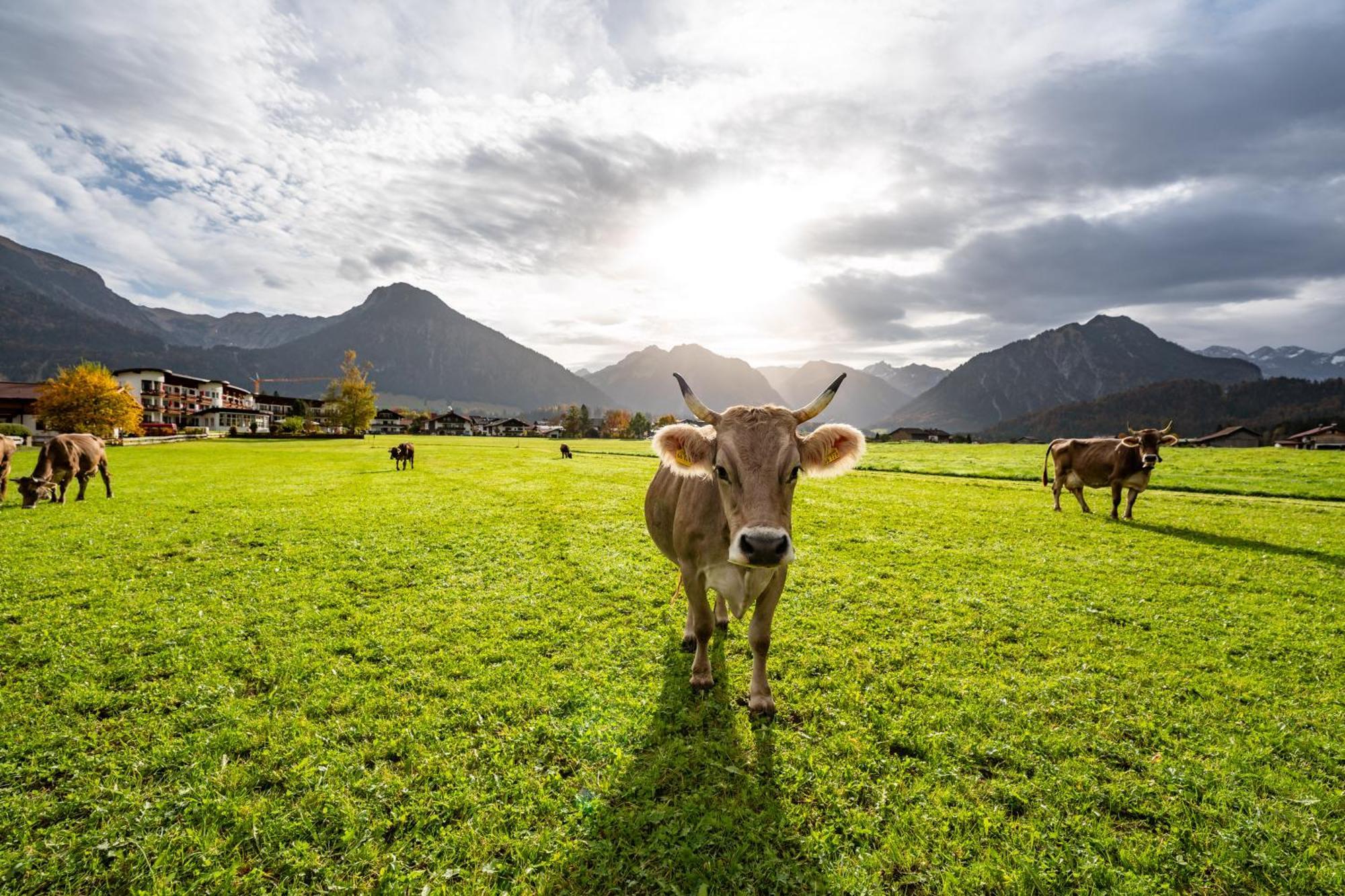 Best Western Plus Hotel Alpenhof Oberstdorf Exteriér fotografie